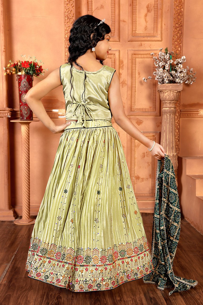 Beautiful Light Green Color Embroidered Designer Lehenga Choli