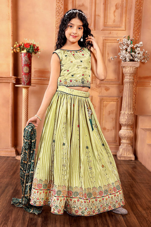 Beautiful Light Green Color Embroidered Designer Lehenga Choli