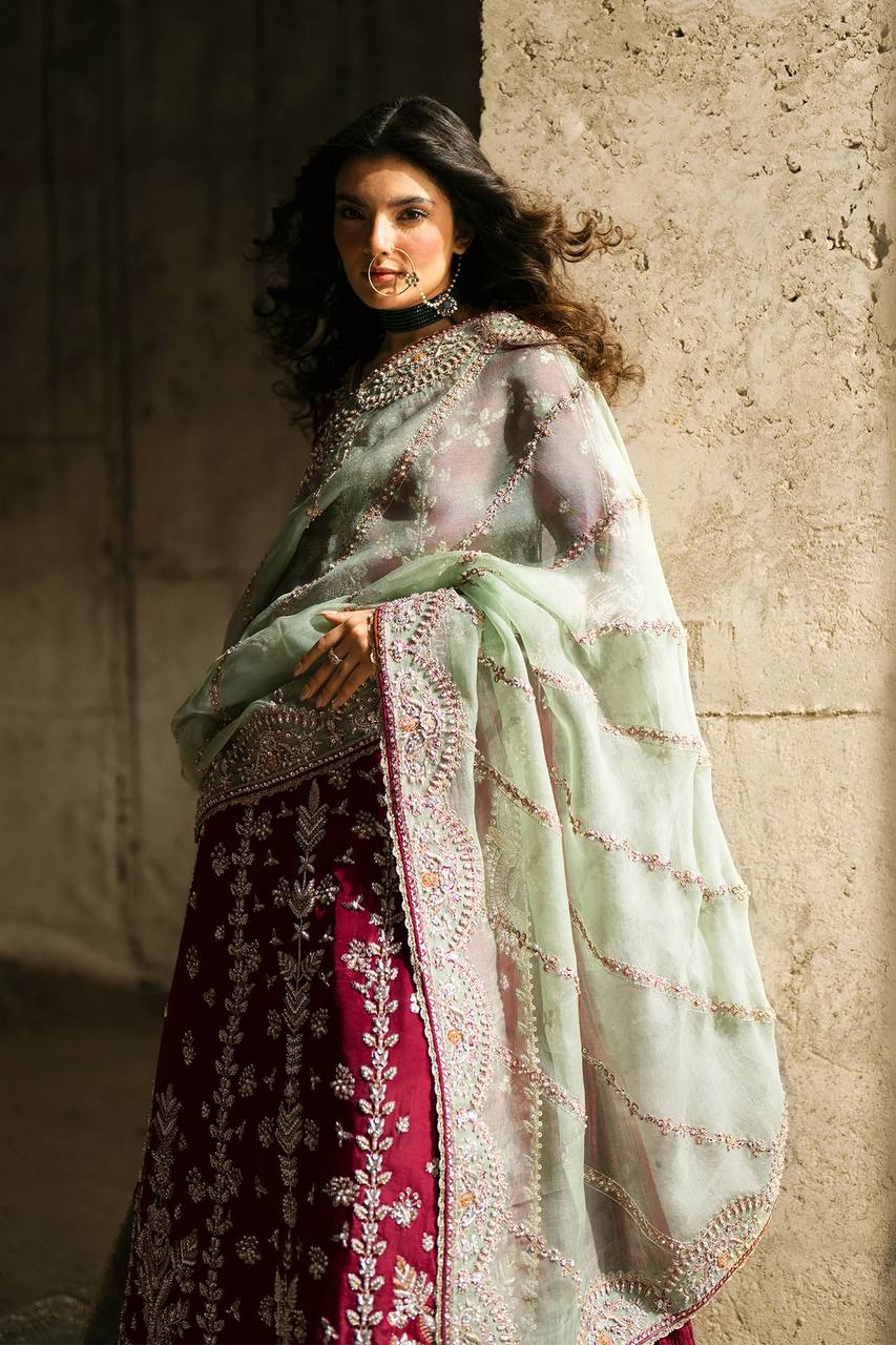 Maroon Color Embroidered Designer Top with Lehenga Set