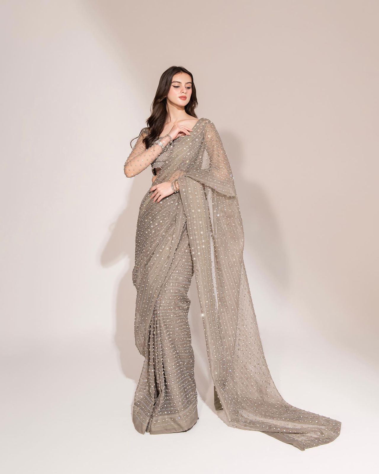 Embellished Gray Color Dimond Work Saree