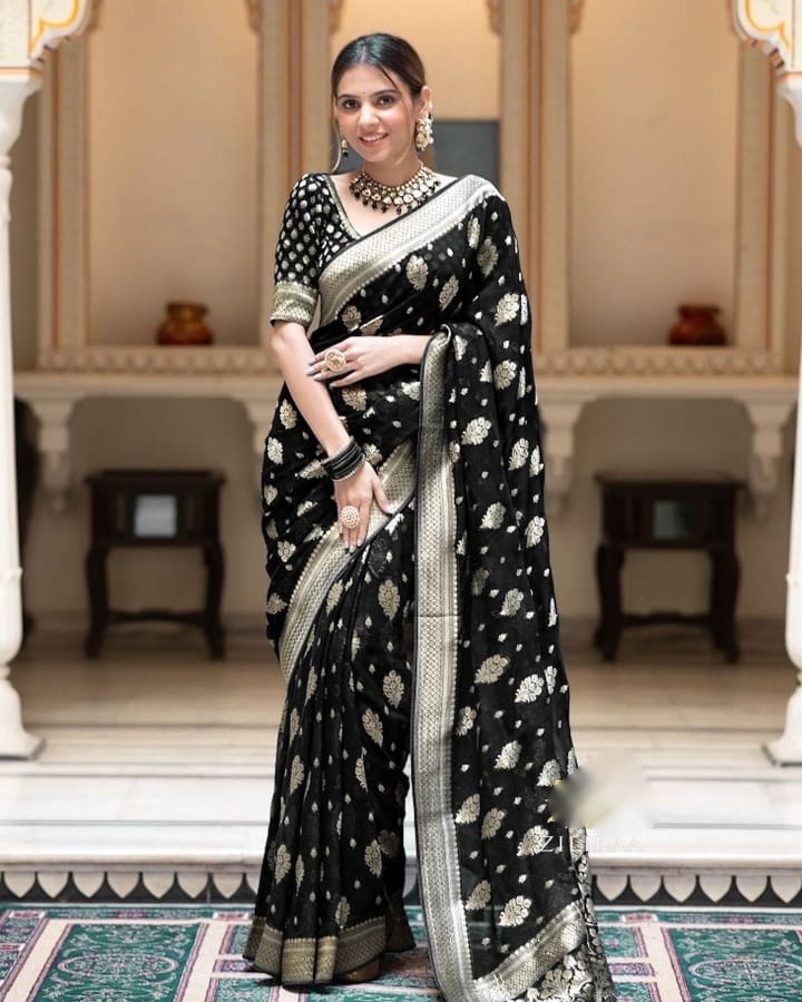 Black Color Grand Beautiful Rich Design Saree