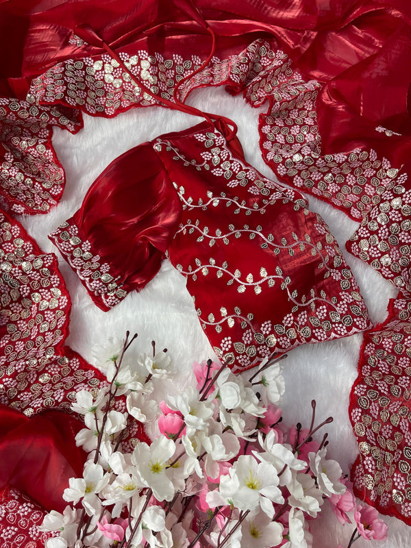 Terrific Red Color Embroidery Sequence Work Saree With Blouse