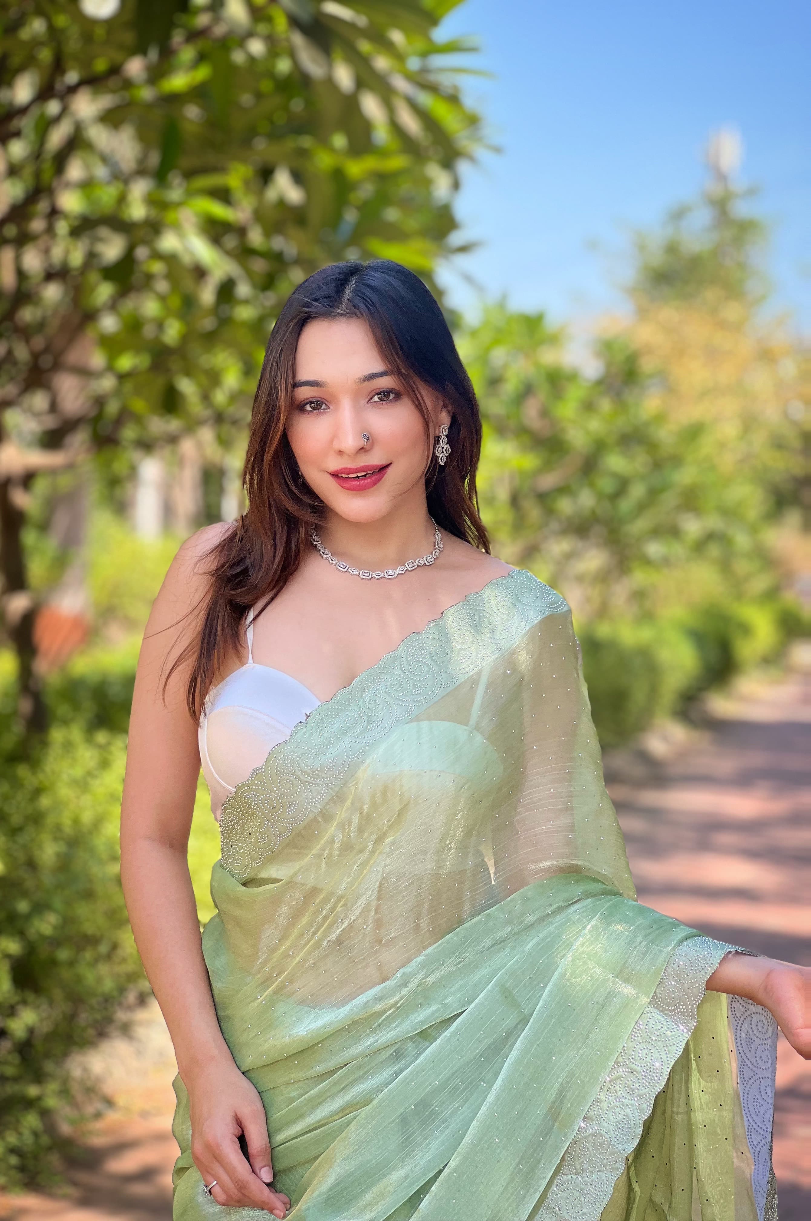 Swarovski Diamond Cutwork Pista Color Saree