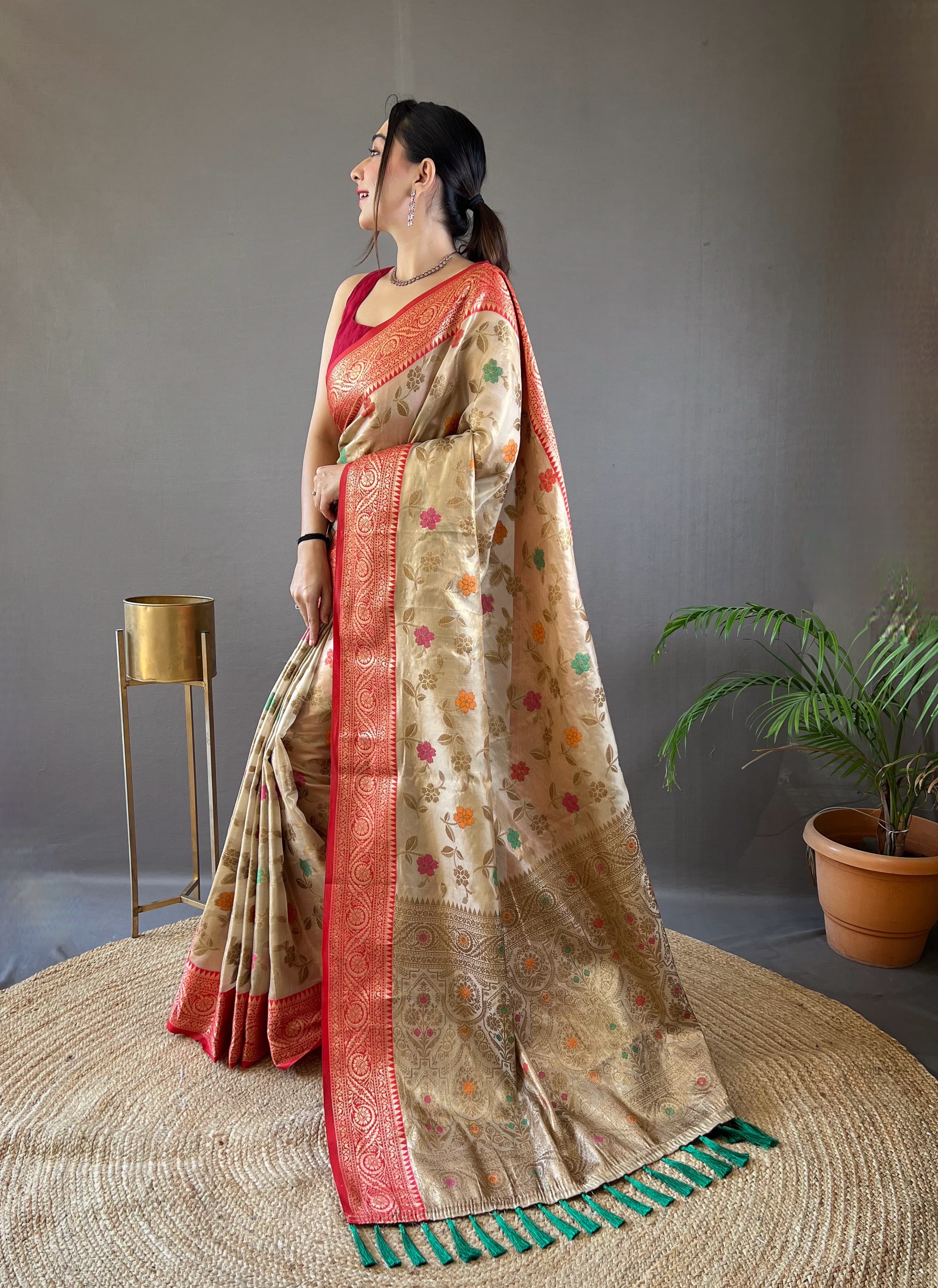 Captivating Beige Color Organza Tissue Silk Saree