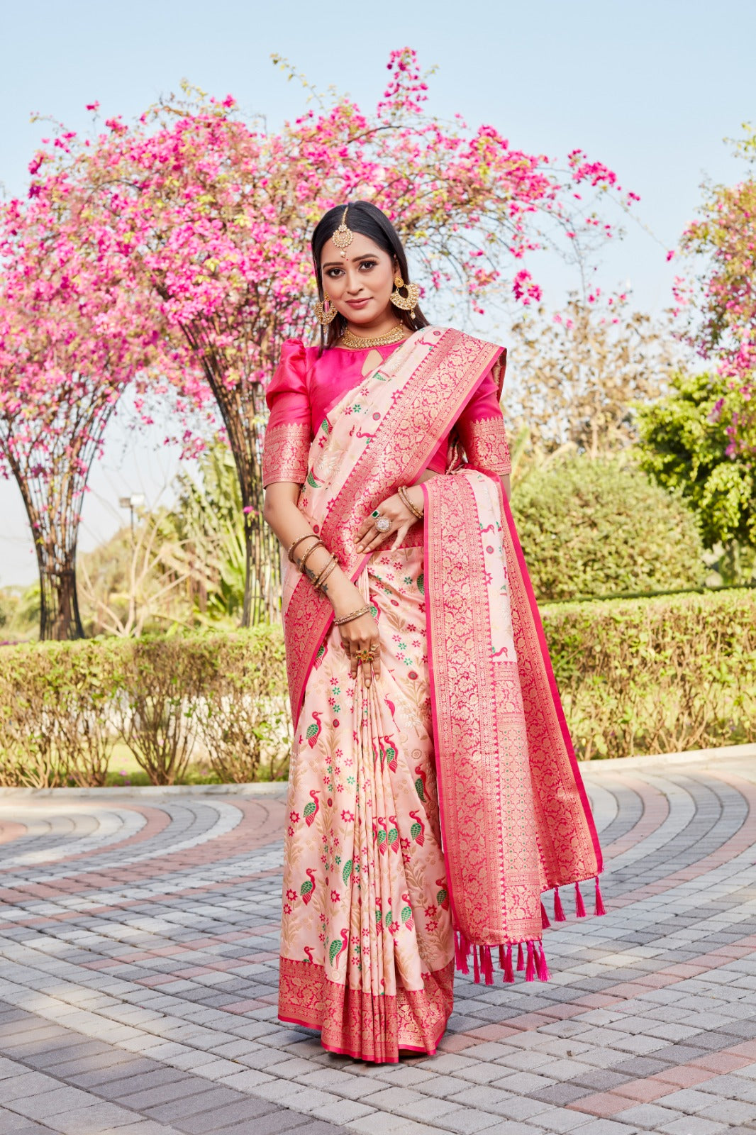 Kanjivaram Border With Rich Pallu Pink Silk Saree