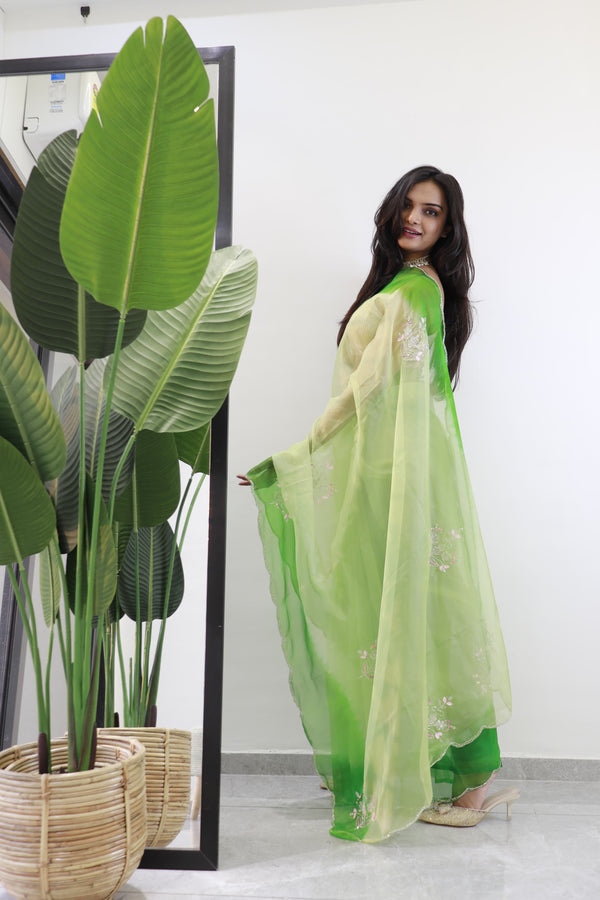 Double Shade Organza Silk Green Color Saree
