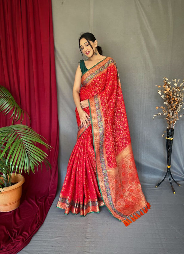 Red Color Meenakari Rich Pallu Patola Saree