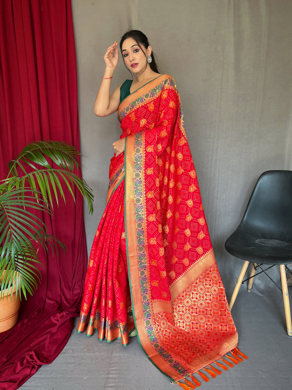 Meenakari Border And Rich Pallu Red Patola Saree