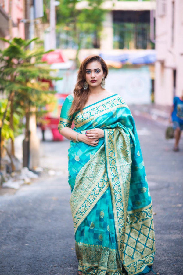 Sky Blue Rich Pallu And Border Banarasi Saree