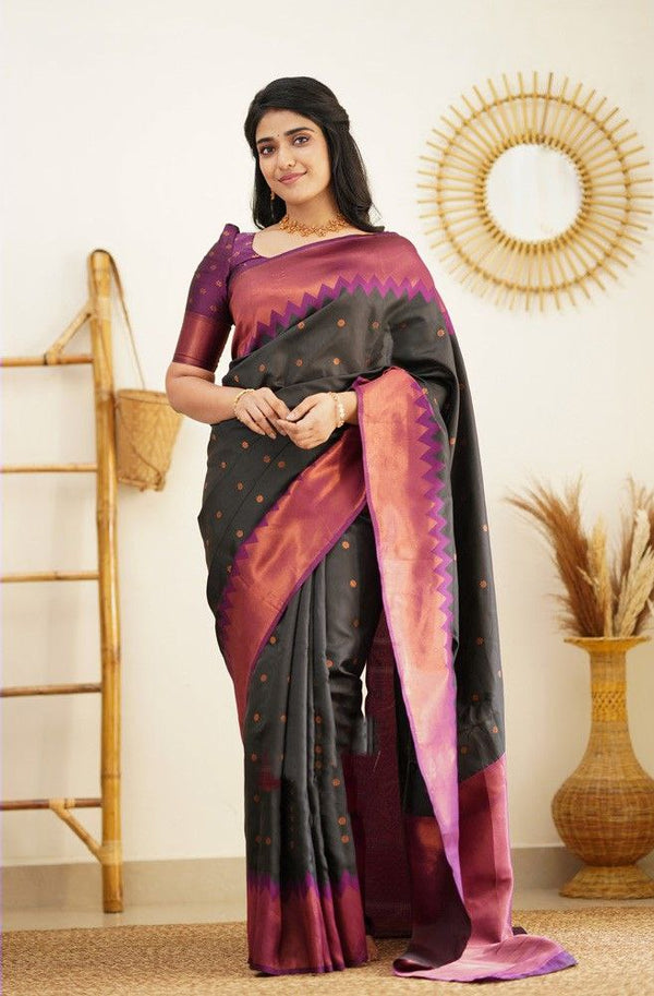 Black Color Coper Jari Design Jacquard Border Silk Saree