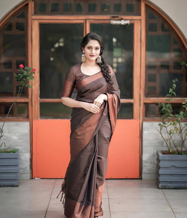Brown Color Mesmerizing Banarasi Silk Saree