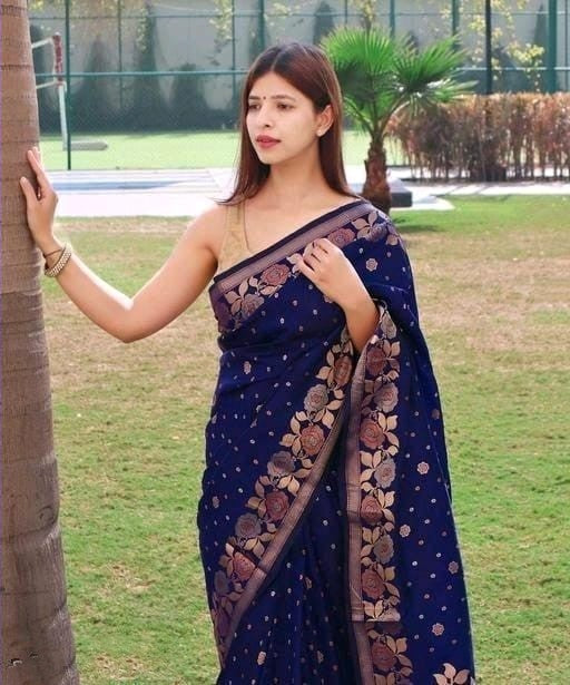 Kanjivaram Banarasi Silk Blue Color Color Saree