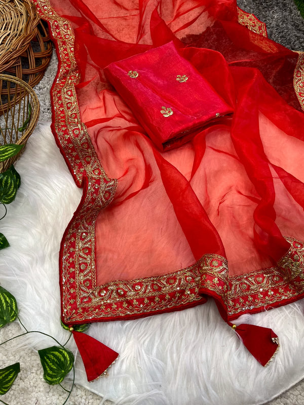 Beautiful Lace Border Organza Red Color Saree