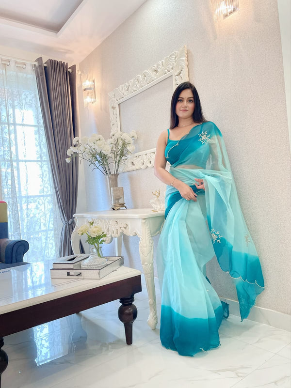 Double Tone Sky Blue Organza Handwork Saree